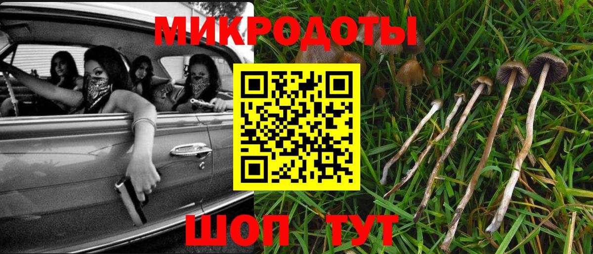 Всеволожск  Псилоцибиновые грибы мухоморы  Вход с VPN 